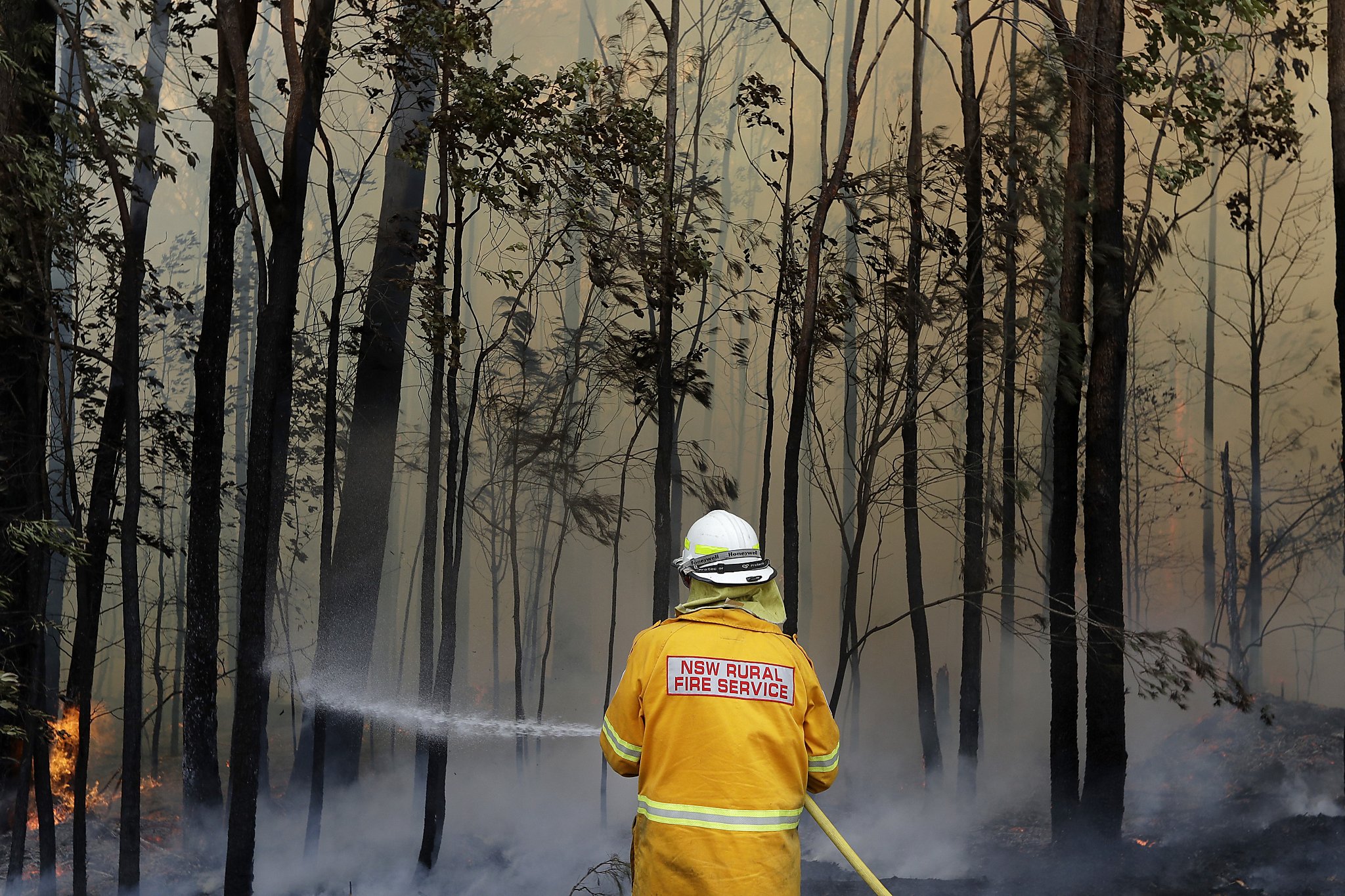 Those Big Wildfires In Australia Look Familiar They Re Much Like