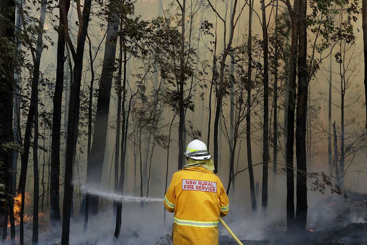 A firefighter manages a controlled burn near Tomerong, Australia, Wednesday, Jan. 8, 2020, in an effort to contain a larger fire nearby. Around 2,300 firefighters in New South Wales state were making the most of relatively benign conditions by frantically consolidating containment lines around more than 110 blazes and patrolling for lightning strikes, state Rural Fire Service Commissioner Shane Fitzsimmons said. (AP Photo/Rick Rycroft)