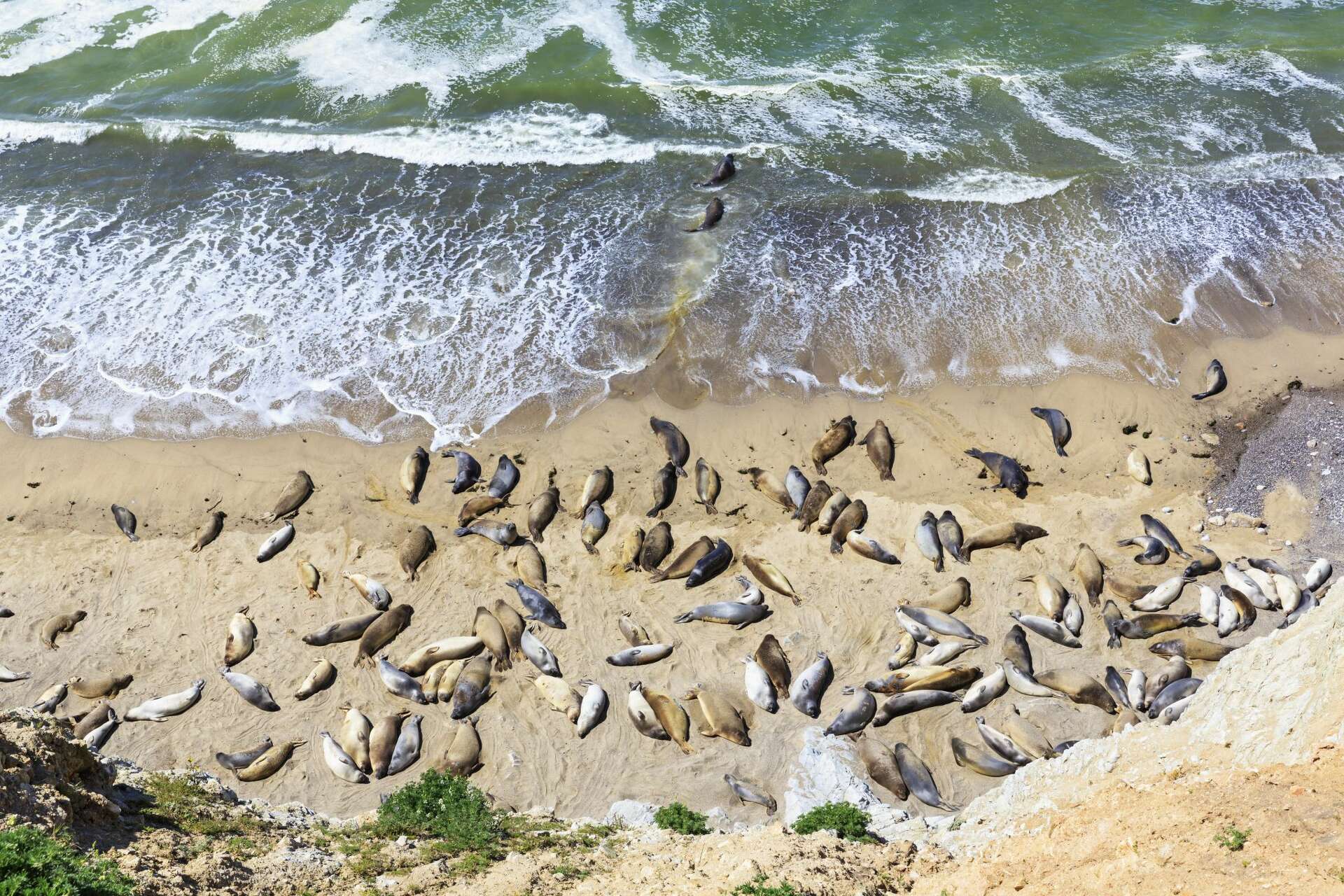 Ireland in our backyard: Why winter is the best time to visit Point Reyes