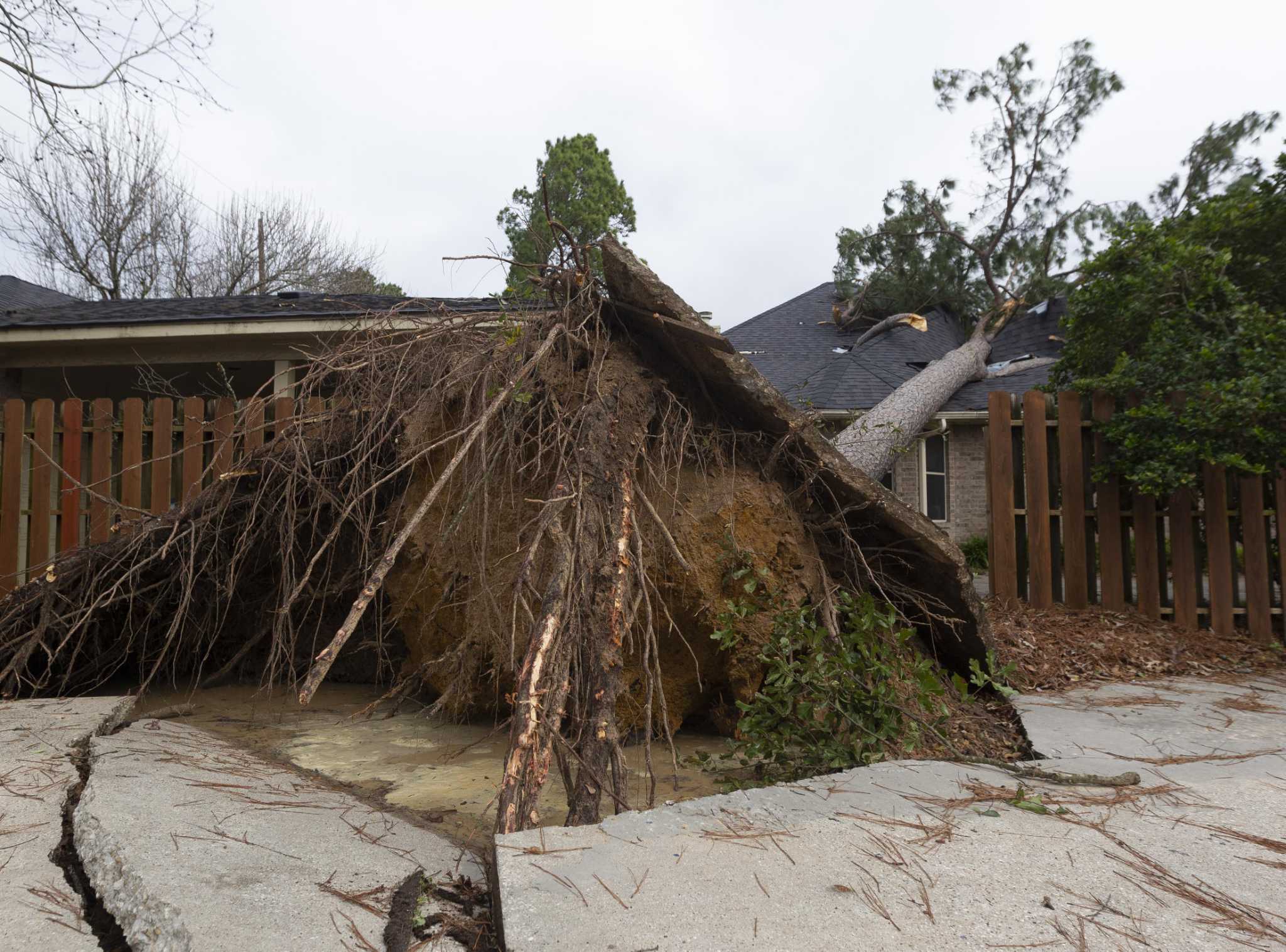 Storm sparks power outages around Montgomery County, topples trees