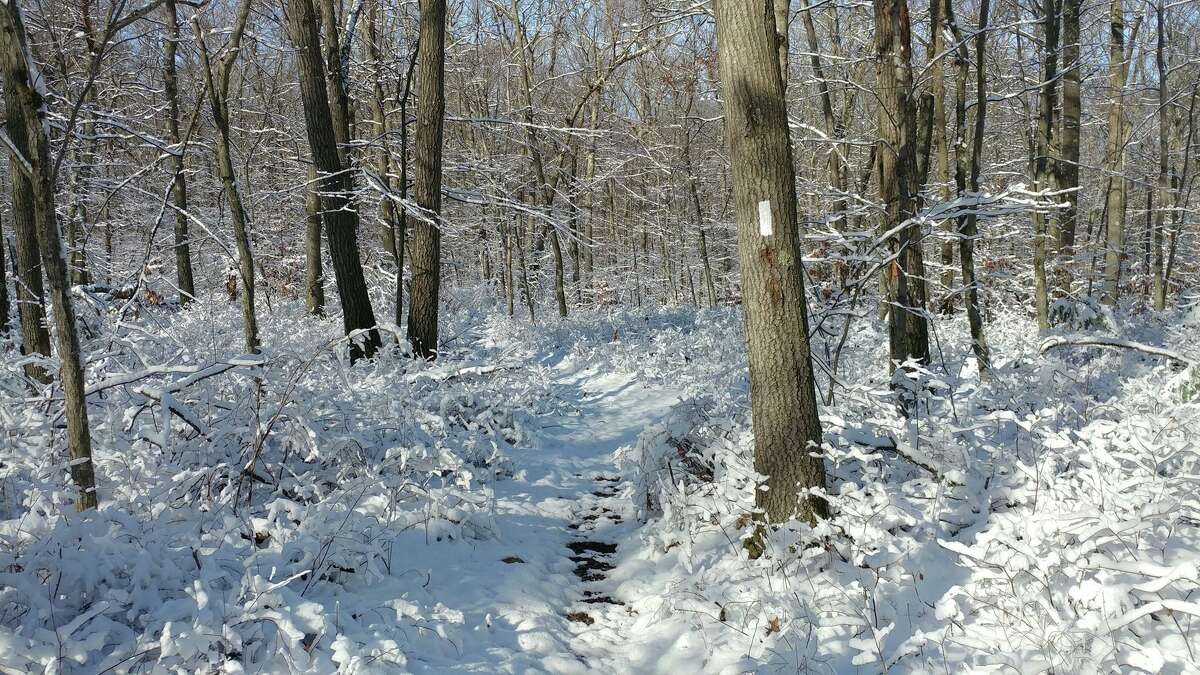 The Shelton Trails Committee will host a winter hike on Sunday, Jan. 19, from 1 to 3 p.m. Those attending can meet at the parking lot at the Nells Rock Trailhead (across from L'Hermitage condominiums), gps 160 Nells Rock Road. The trail is relatively flat and easy, though not stroller-friendly. Distance will depend on trail conditions. Children and leashed dogs are welcome. If weather is questionable, check the Shelton Trails blog at sheltontrailscom.blogspot.com/p/work-part.html for updates. For other questions, contact Val Gosset at valgosset@aol.com or 203-803-5247. To receive email notifications of future Shelton Trails Committee events, send your email address to sheltontrailscommittee@gmail.com.