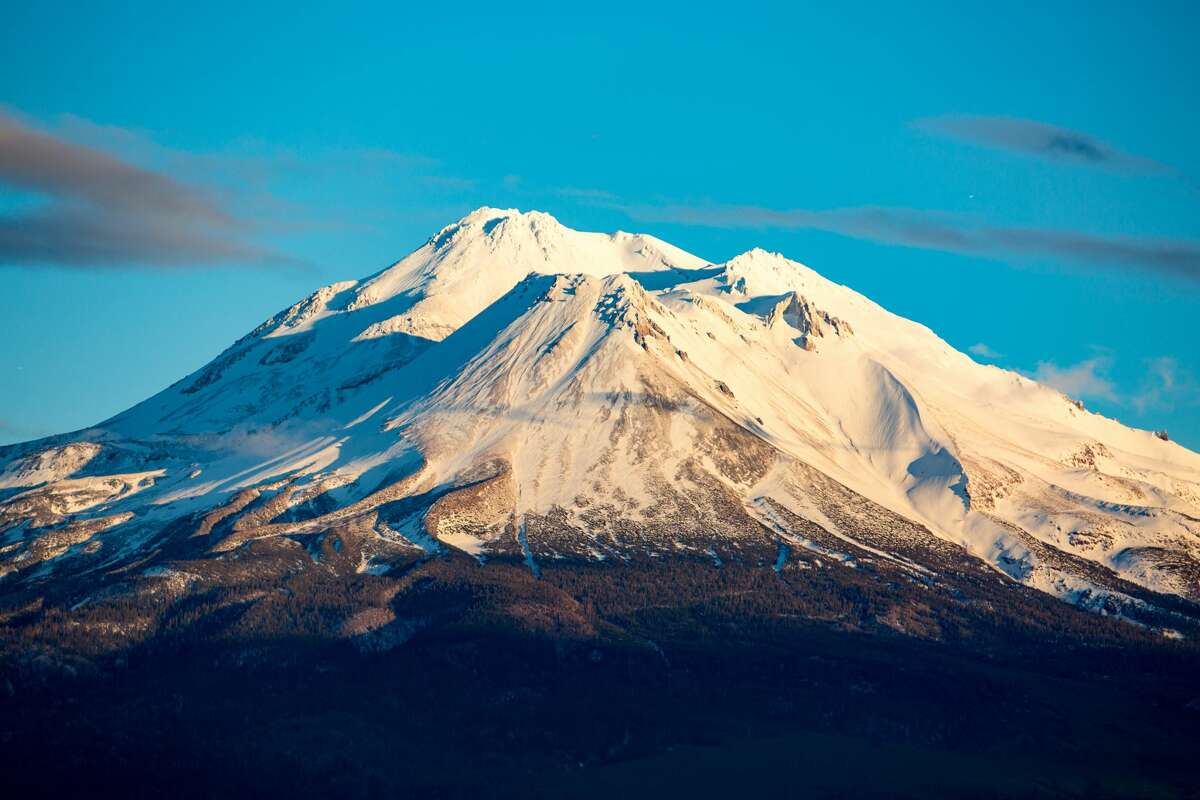 are dogs allowed in mount shasta