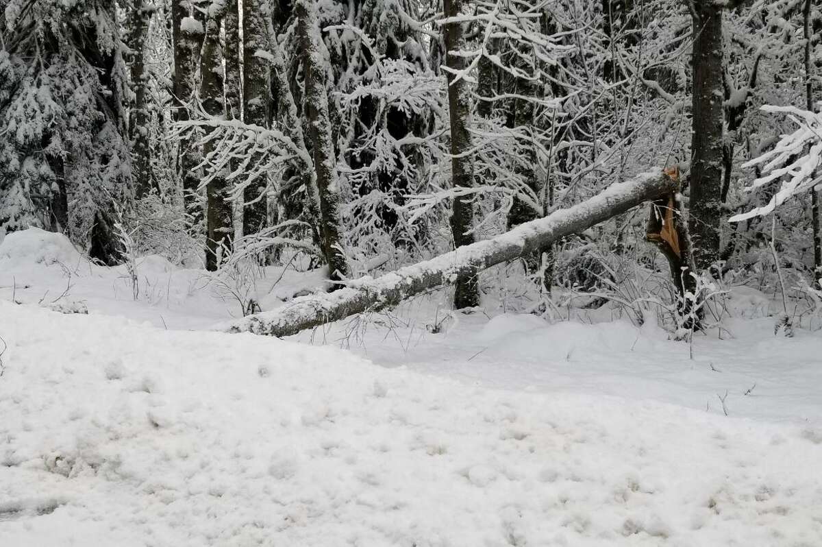 Stevens Pass closed 'indefinitely' due to unpredictable conditions