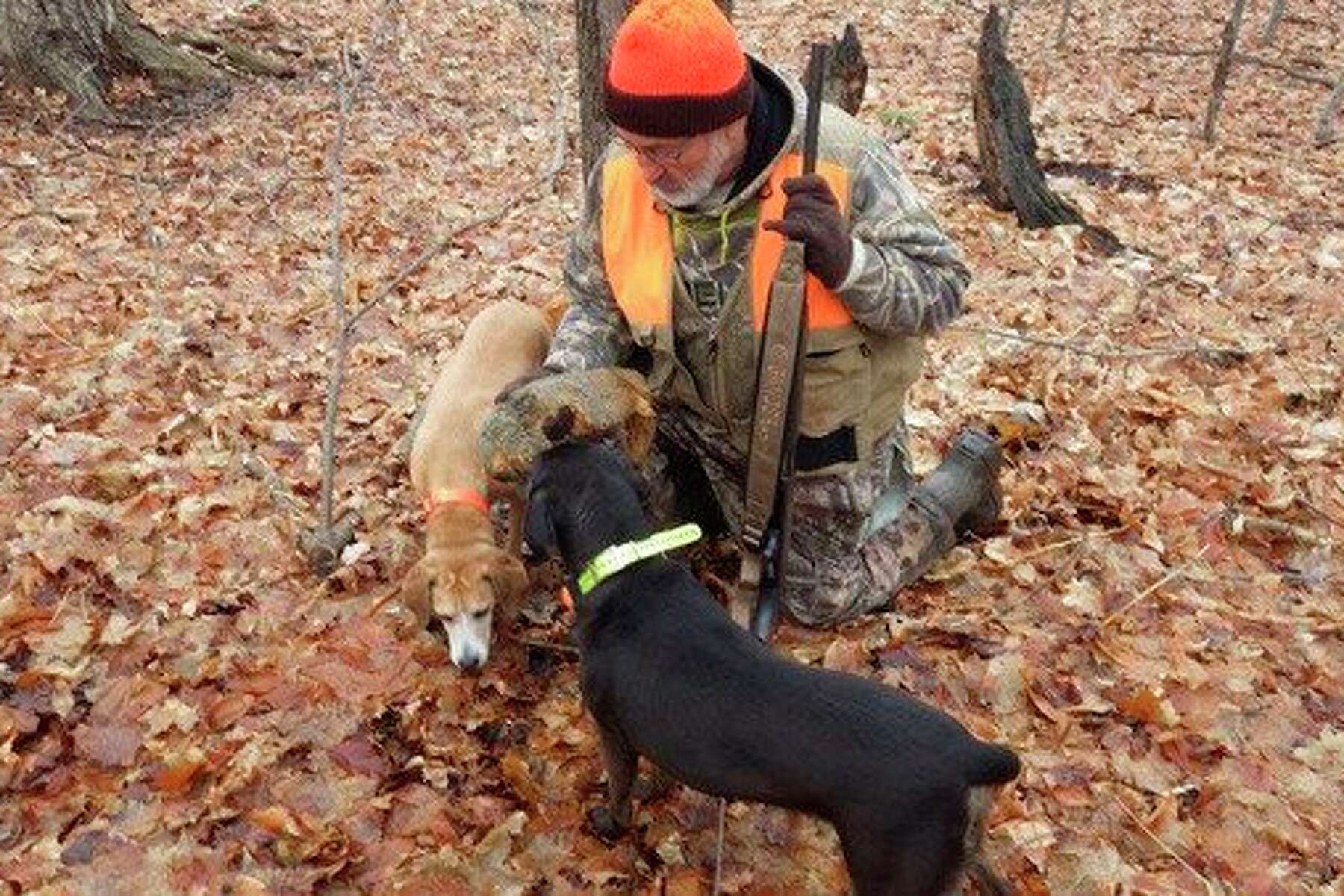 squirrel dog hunting vest