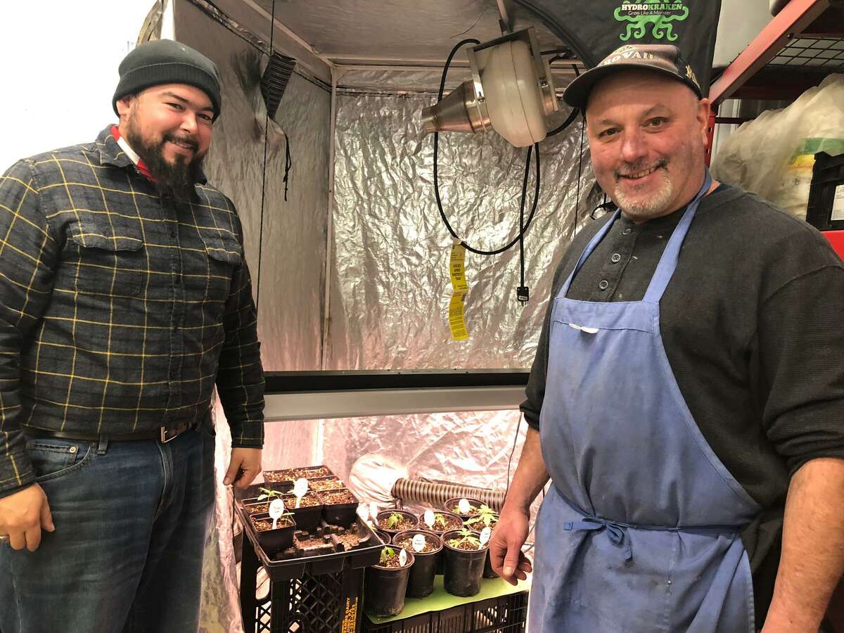 Luis Vega and Stone Gardens Farm owner Fred Monahan show off next year's crop. Vega has brought his knowledge of CBD, hemp production to Monahan's land to form what is becoming a profitable partnership.