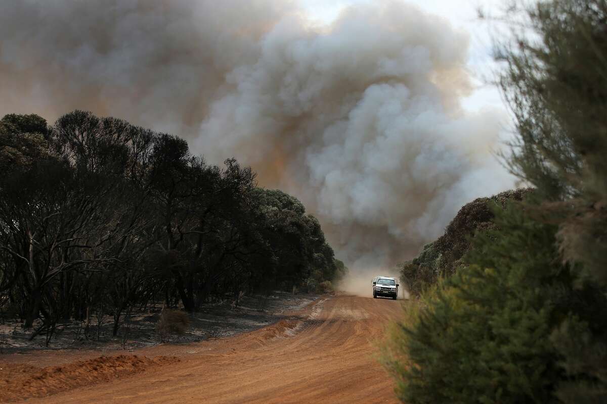 The fierce and early bushfire season led to an unusually large number of fire-induced thunderstorms triggered by the uplift of ash, smoke and burning material. Called pyrocumulonimbus events, these conditions create a pathway for smoke to funnel into higher levels of the atmosphere and travel thousands of miles from its source, according to NASA.