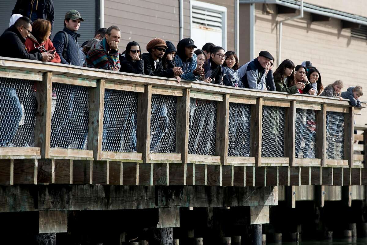 Arp, arp, arp. Sea lions still hanging around Pier 39 — 30 years later