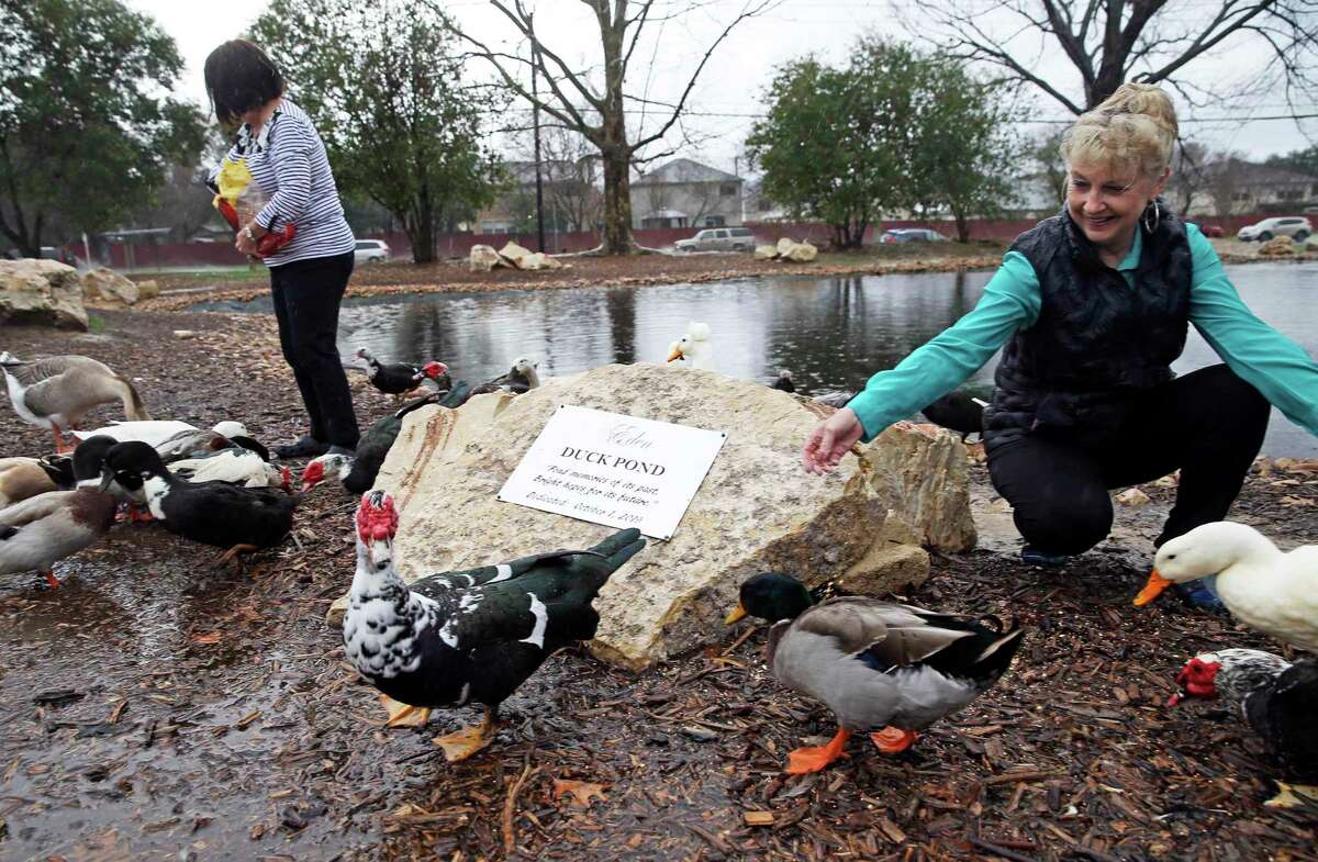 San Antonio neighborhood duck pond goes from fowl to fabulous on the
