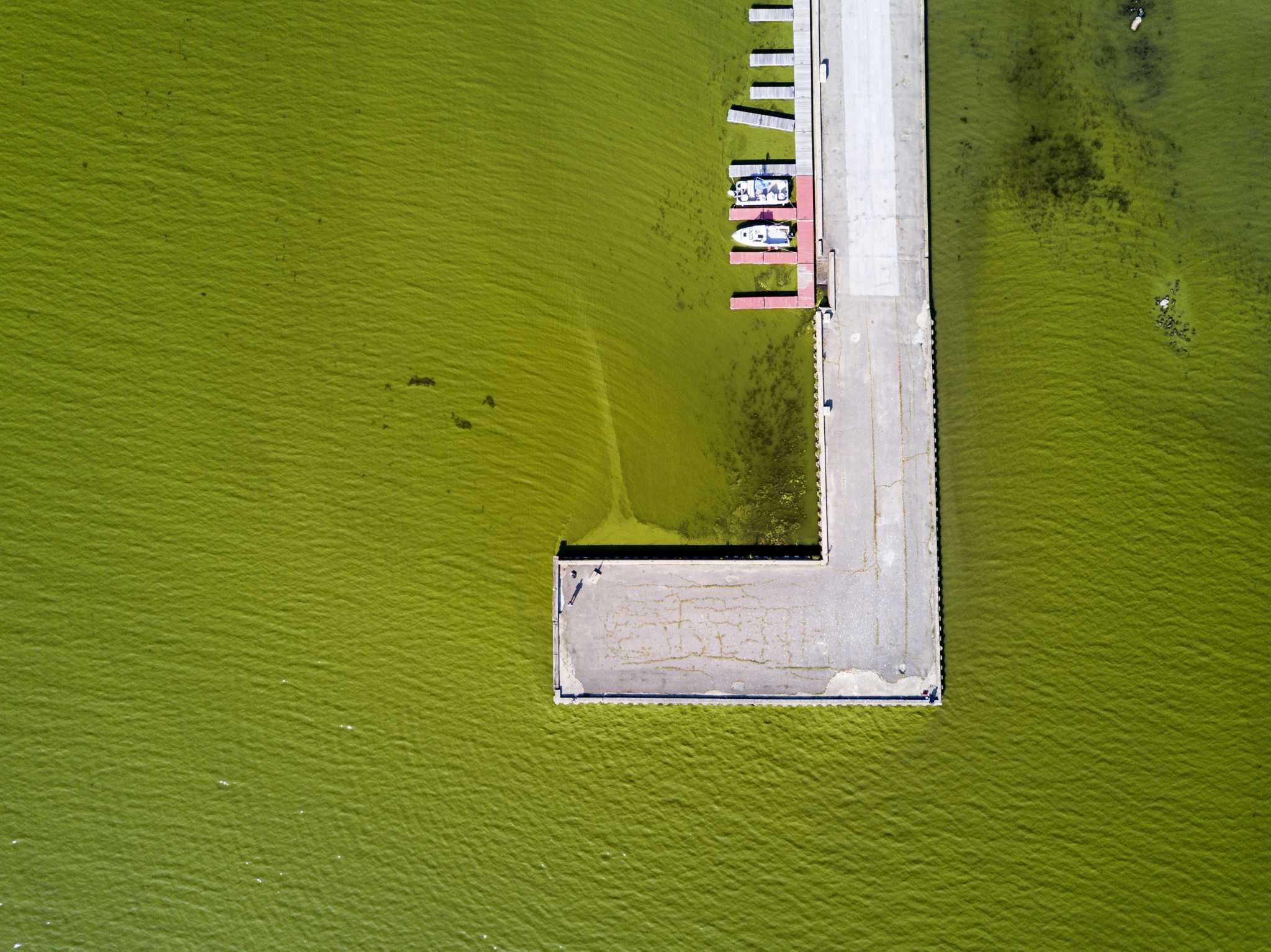 Lake Champlain in crisis