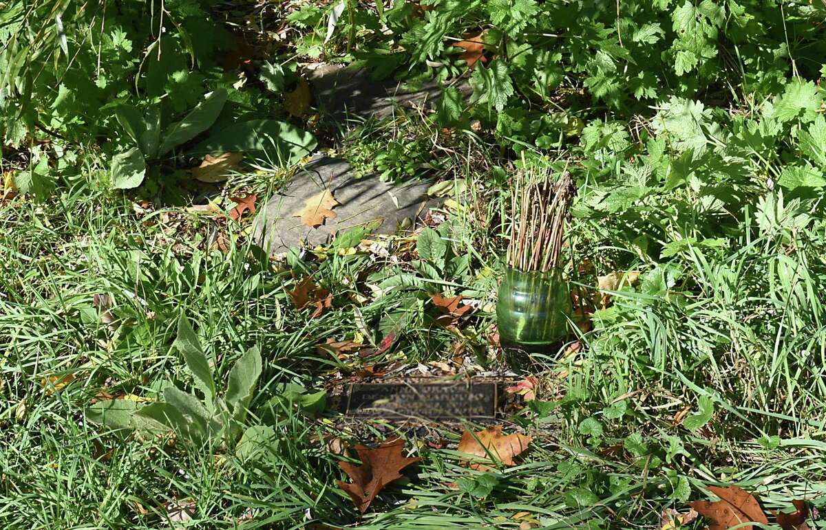 Going green Interest in environmentally friendly burial methods is growing