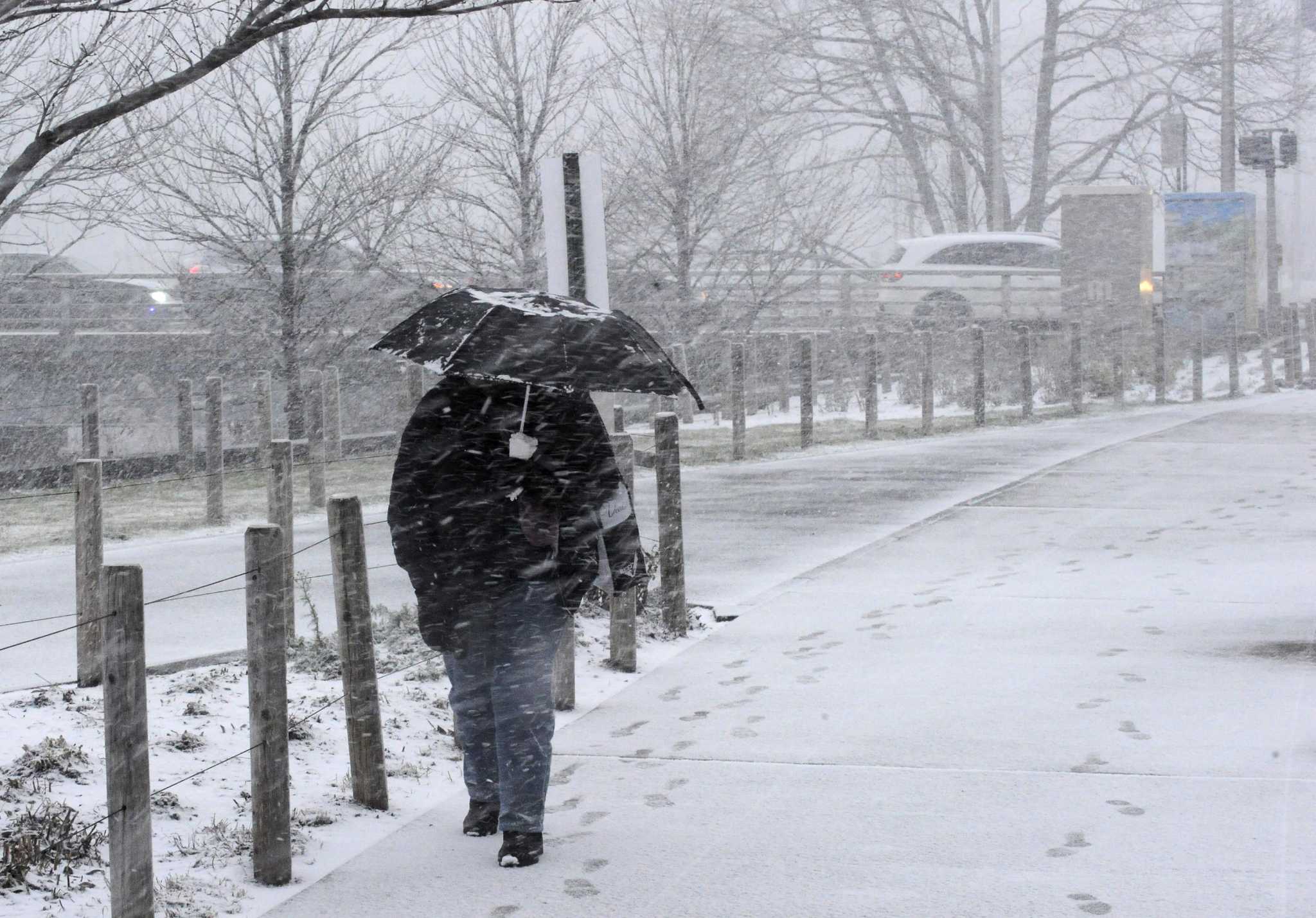 Snow Falling Across Ct Parking Bans In Effect New Haven Register