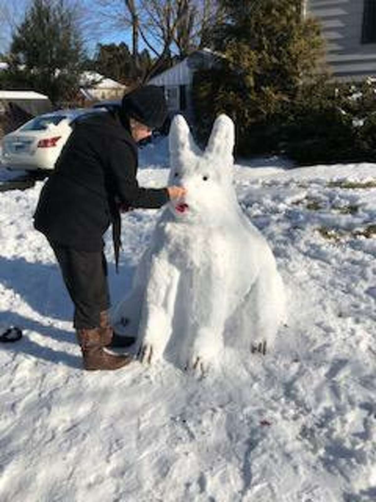 Inspired by their “grand dog,” the Hansons used the newly fallen snow to create this snow dog Sunday, Jan. 19, at their Toas Street property. Darlene Hanson puts the finishing touches on the creation, which is modeled after Ganon, their French bulldog grand dog.