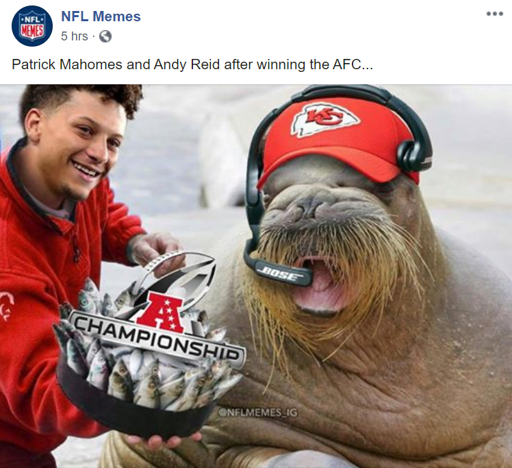 Hilarious memes mock day full of lopsided NFL playoff games