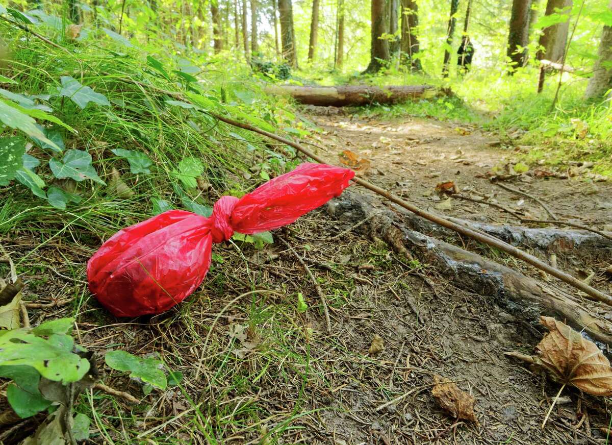 does dog poop decompose does dog poop decompose