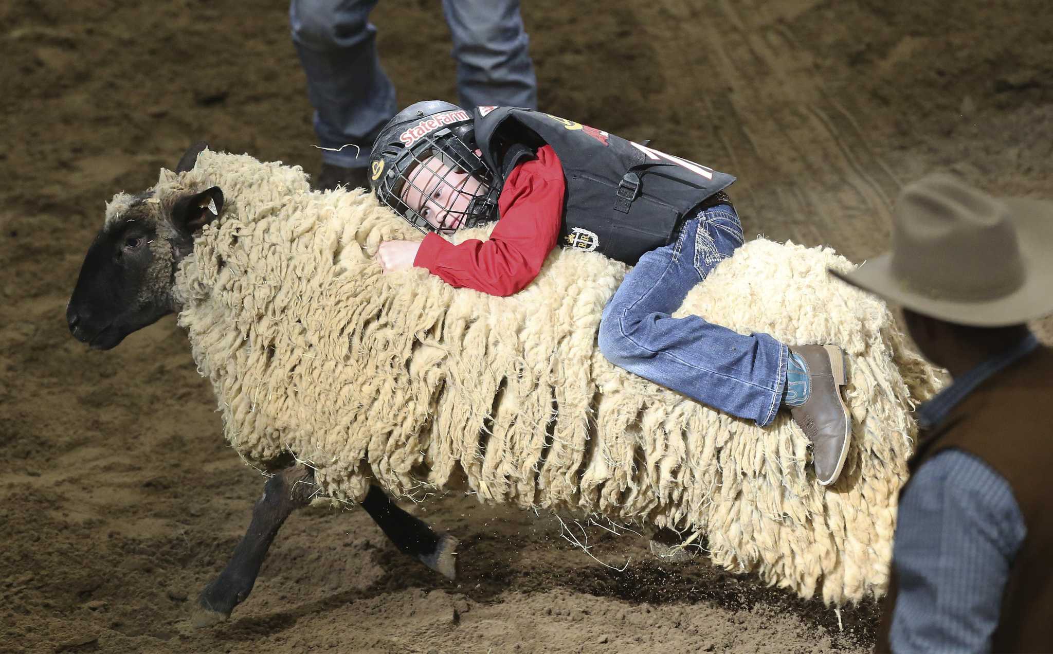Mutton busting a popular rodeo event for kids in San Antonio and nationwide
