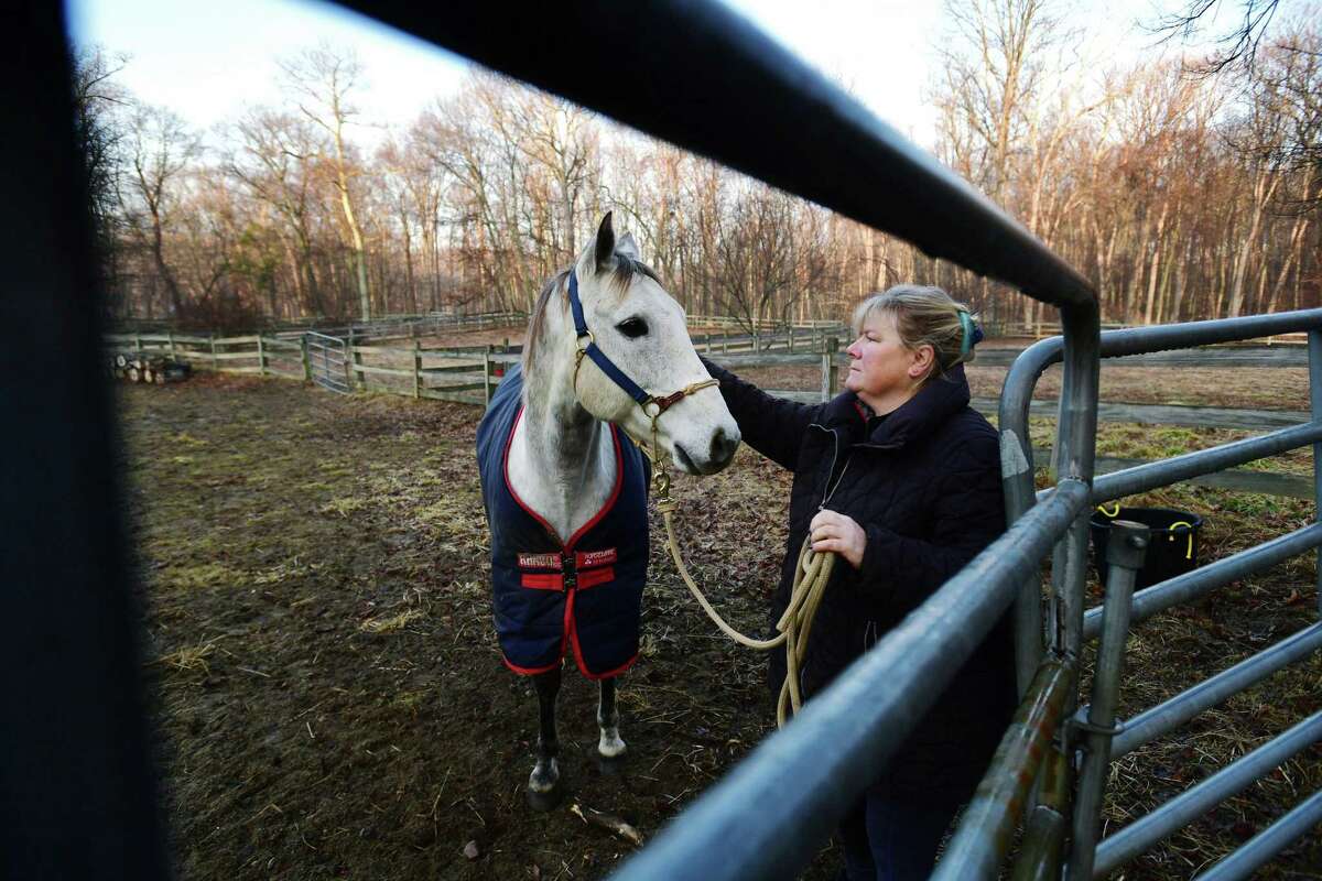 Kelly Stackpole and Hinkley, one of the rescue horses she has at her stable, Rising Starr, on Jan. 15. Stackpole has 14 rescue horses and ponies under her care that have mostly come from slaughterhouses out west. Rising Starr Horse Rescue saves, rehabilitates, retrains and rehomes abandoned, neglected or abused horses and teaches about at-risk horses and the importance of protecting them.
