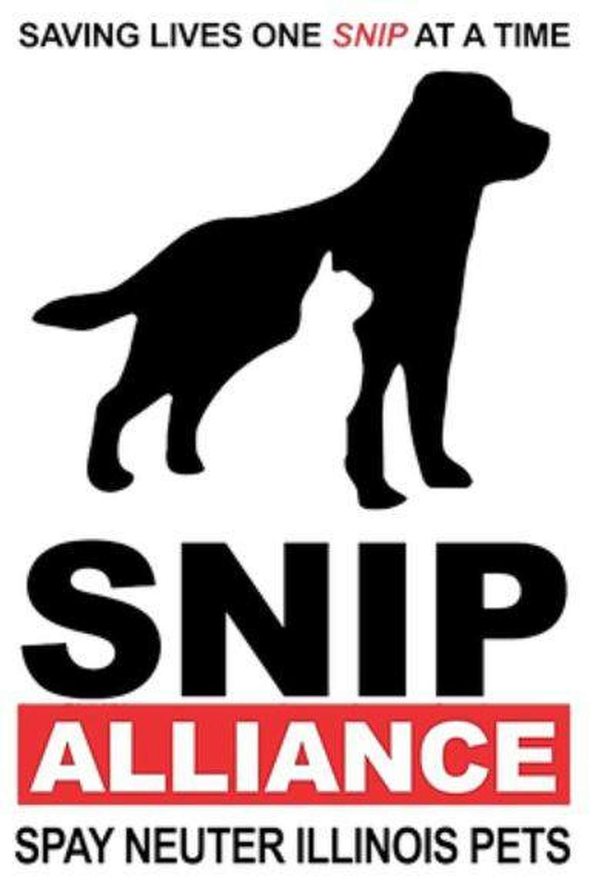 Animal care service SNIP Alliance to disband after 11 years