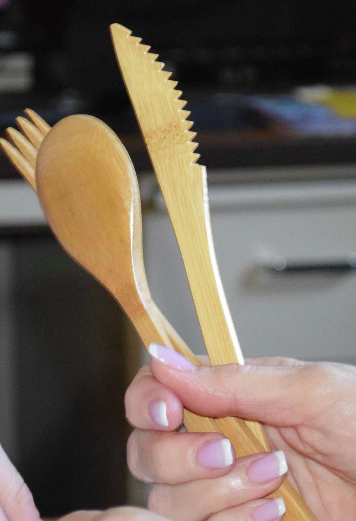 Students inspire pilot environmental program