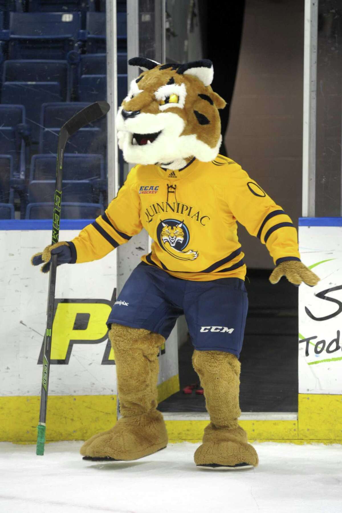 How Connecticut became a college hockey hot spot