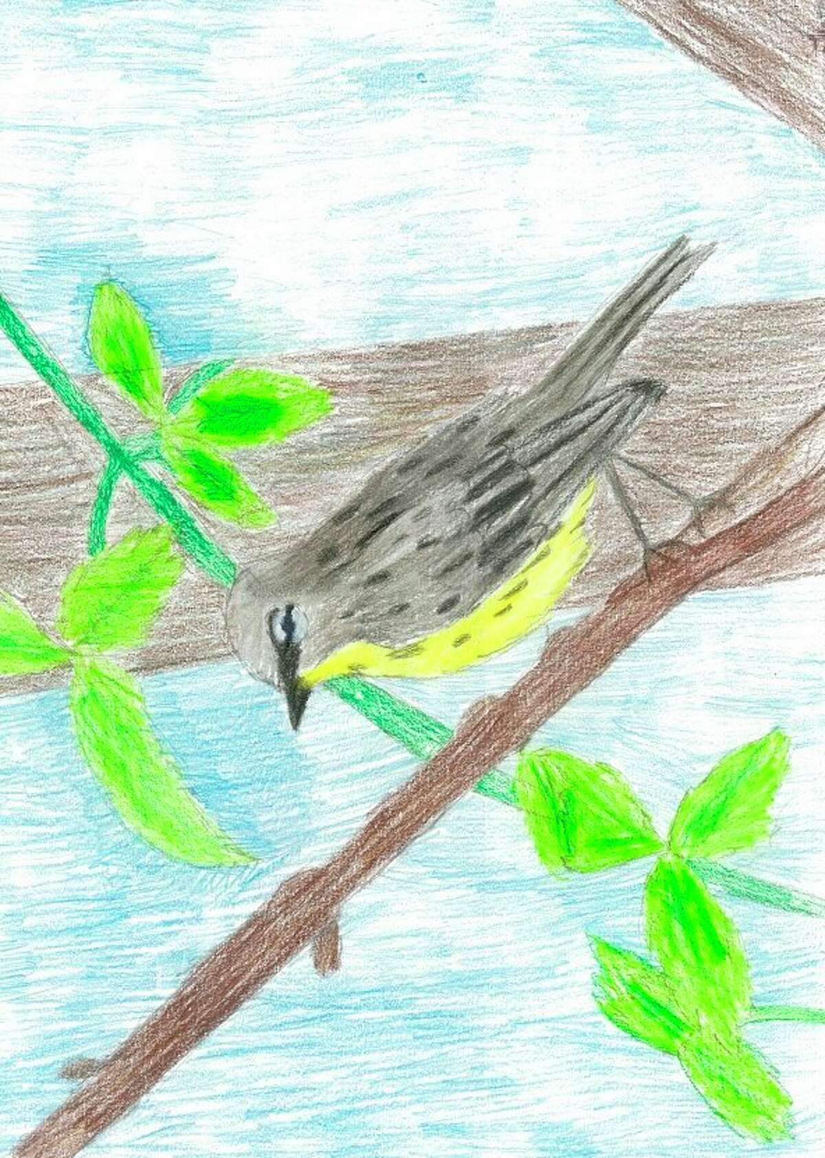 The winner of the 2019 Young Artists Contest, a piece by Grayling fifth-grader Tierney Hartman, is pictured. (Courtesy photo)