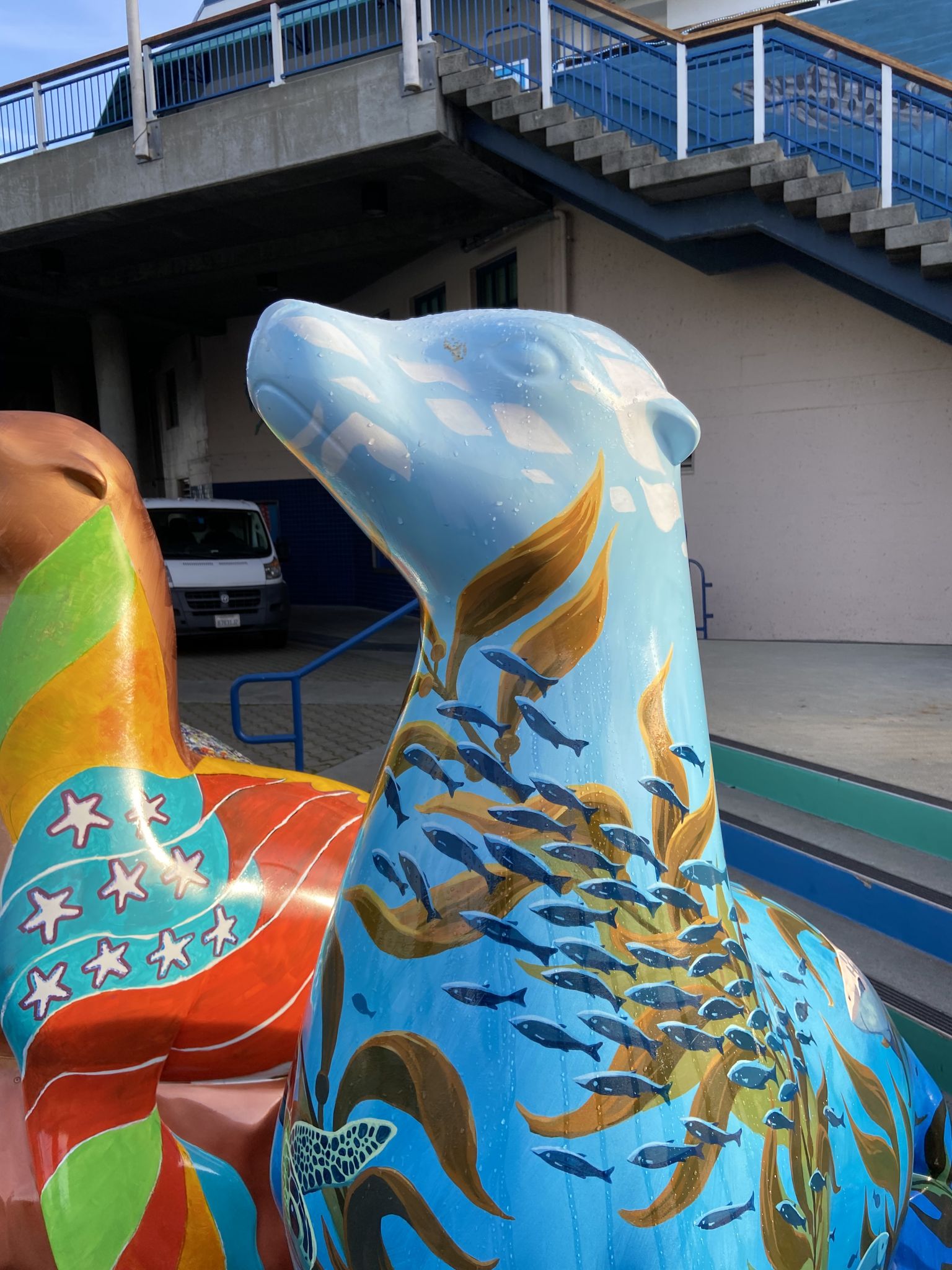 Liz in San Francisco: Sea Lions of Fisherman's Wharf Celebrate 20th  Anniversary and Welcome Home Party!