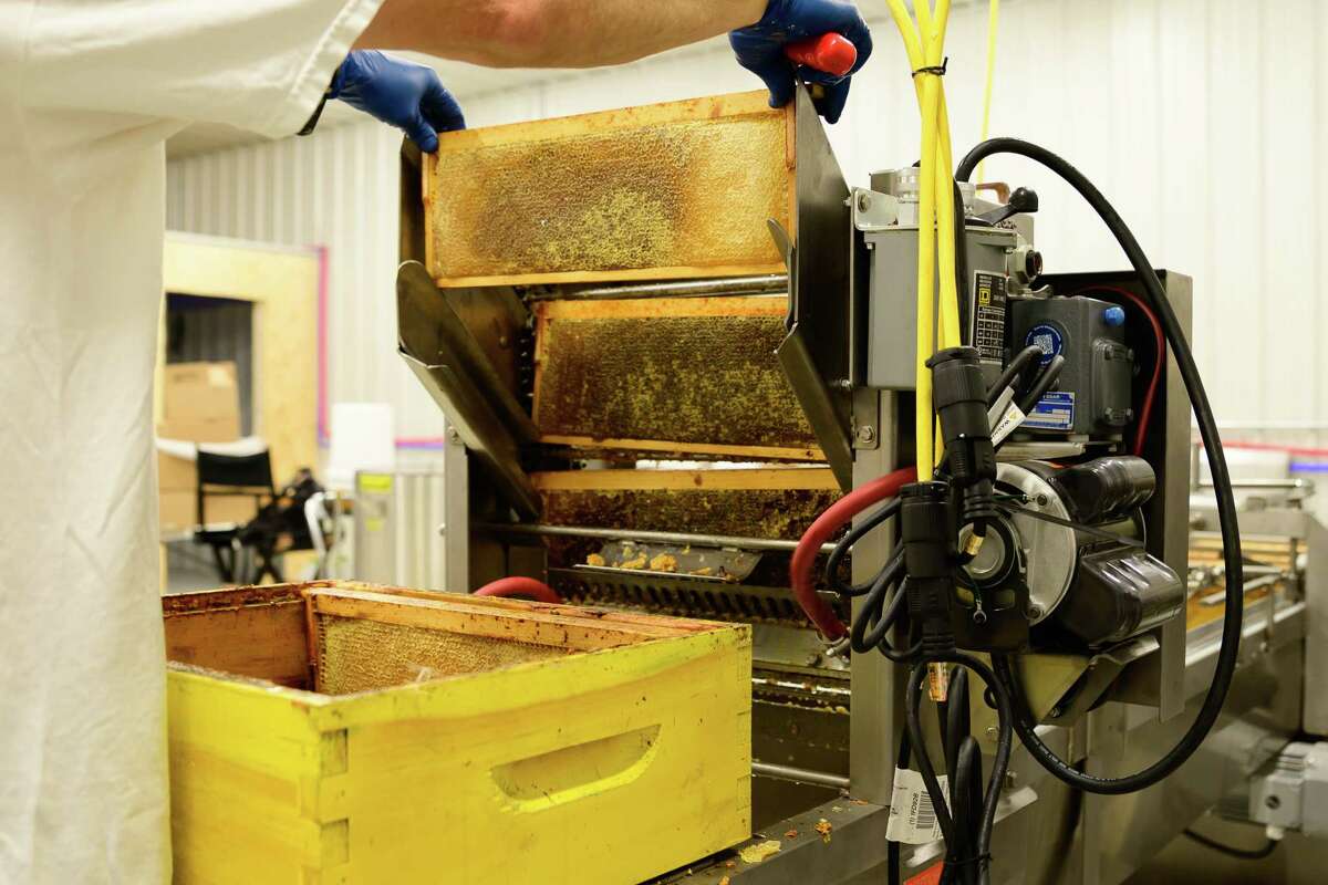 Local beekeeper on honey varieties, how to help the bees