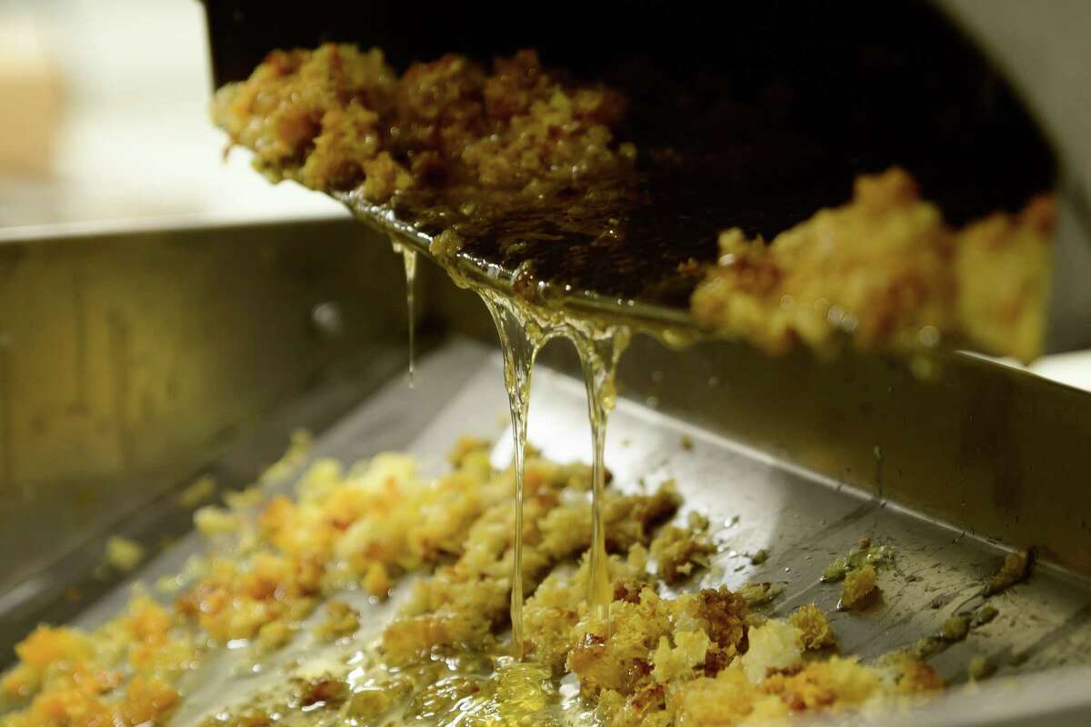 Local beekeeper on honey varieties, how to help the bees