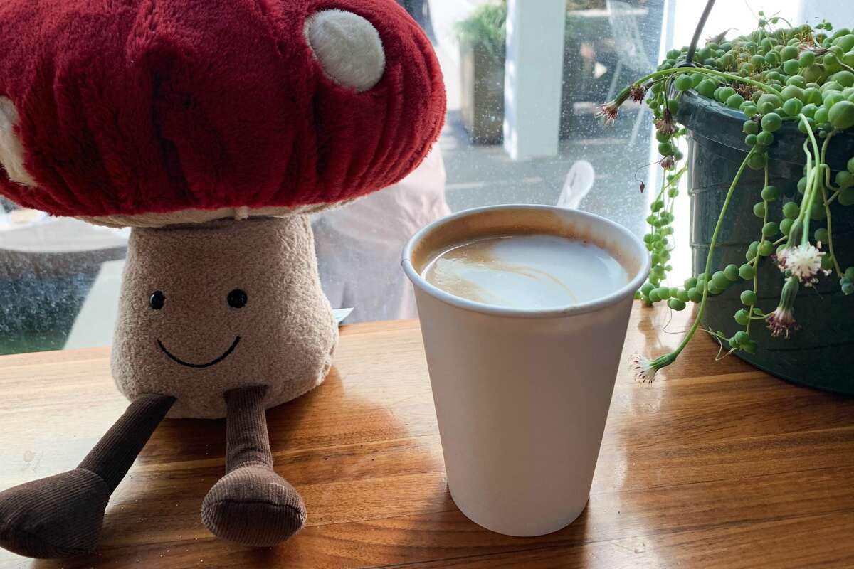 The Chaga Company, a new permanent pop-up at Fearless Coffee on 303 Second St, claims to be the "first-ever mushroom cafe" in San Francisco. The company had its grand opening on Wednesday. Pictured: an almond milk mocha with a "Chaga boost" ($5).