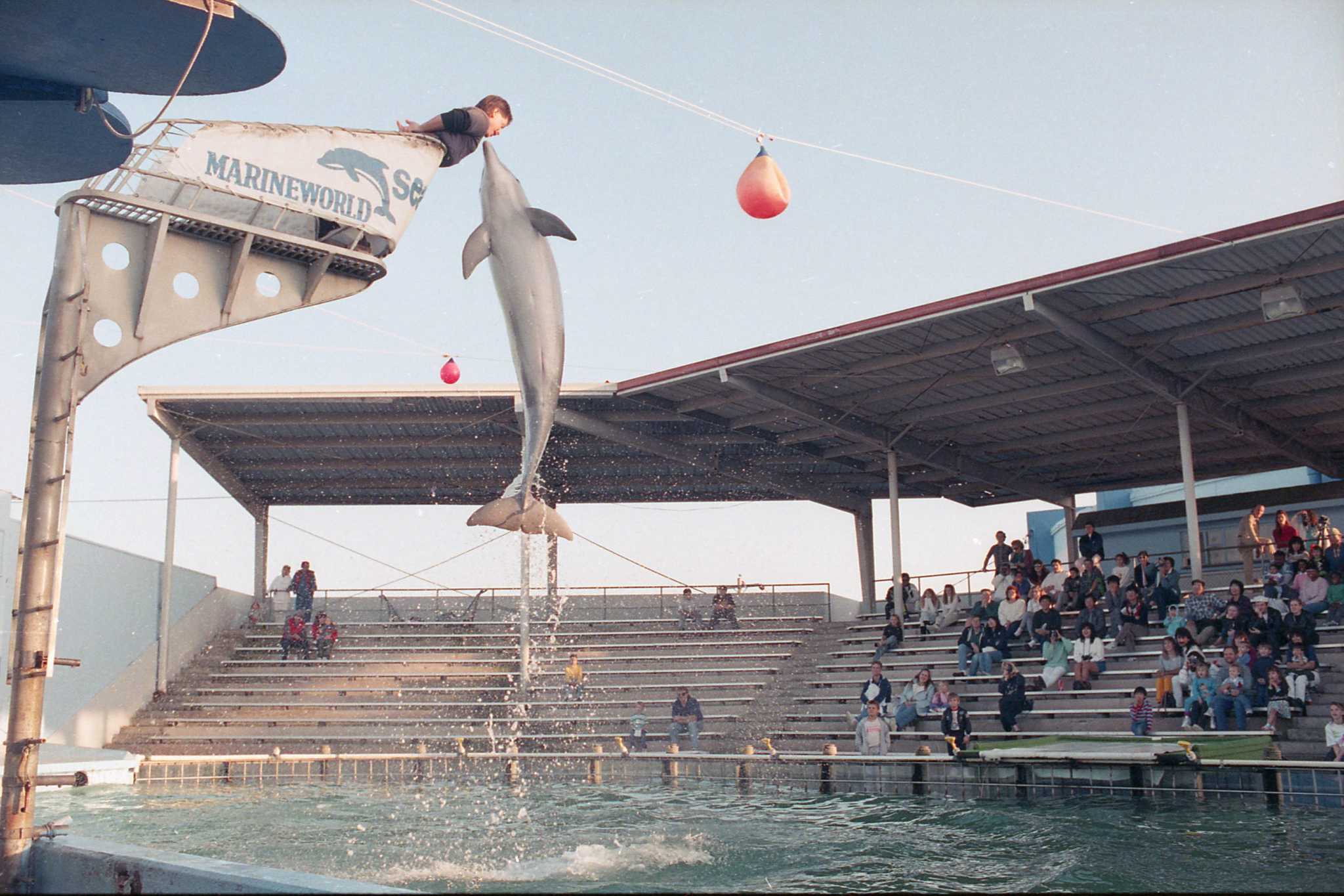 Bygone Gulf Coast theme park had gator wrestling, snake shows