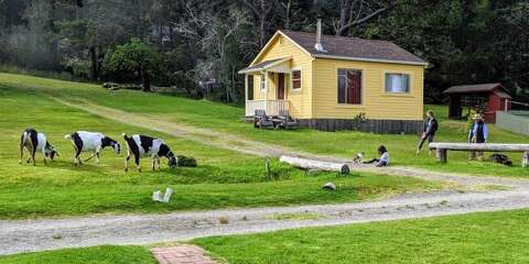 Treasured Mendocino Vacation Cottages Hit The Market For 2 5