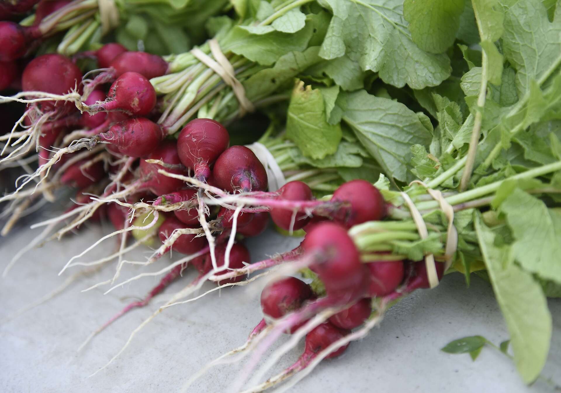 List of vegetables visual data 7