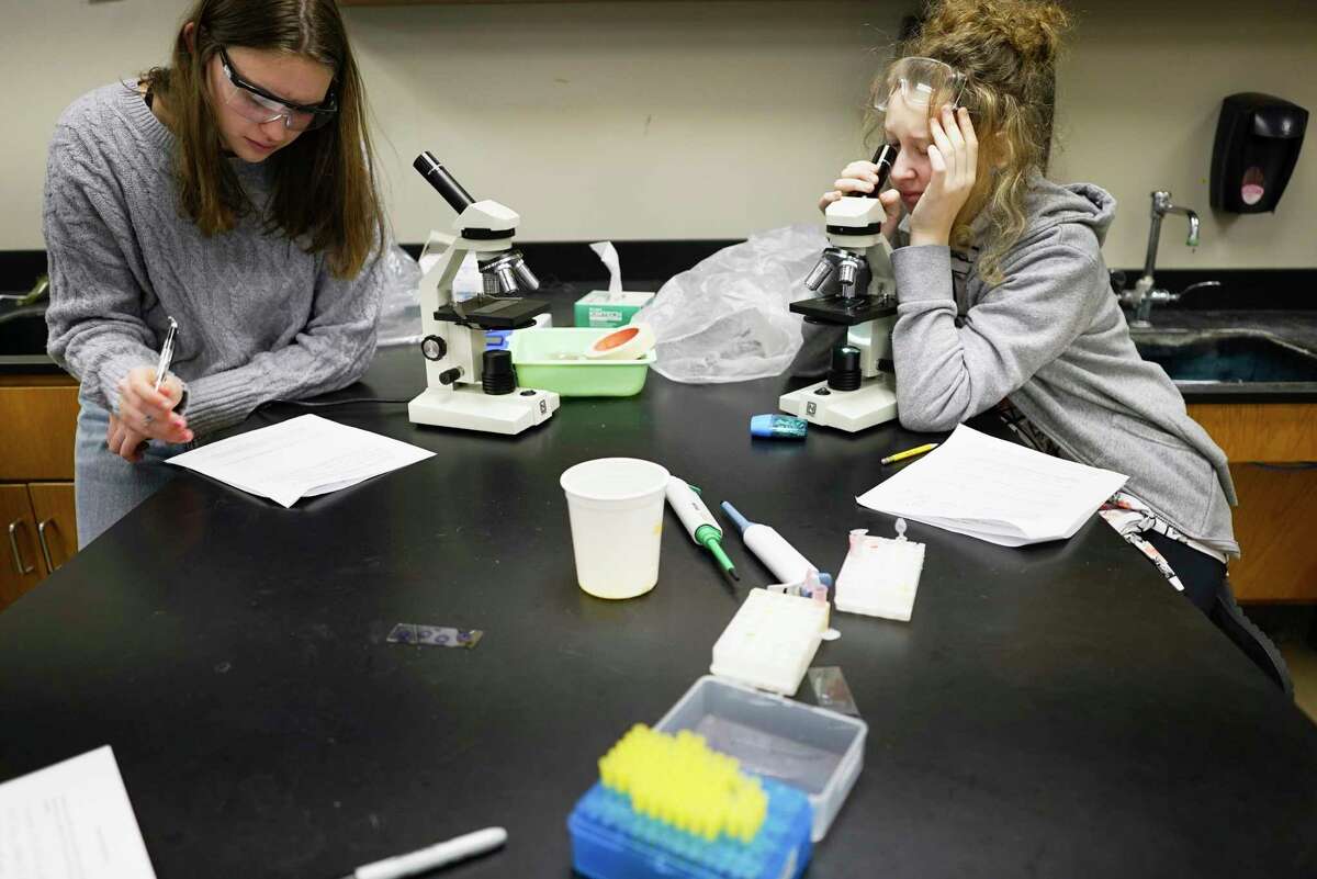 Freshman Lucy Whiteley, left, and sophomore Sasha Levin run tests on living cells and electronic cigarette vaping juice at Bethlehem High School on Wednesday, Jan. 29, 2020, in Delmar, N.Y. Students in the Honors Biology class are performing tests with living cells and electronic cigarette vaping juice to see how the cells react to the vaping juice. (Paul Buckowski/Times Union)