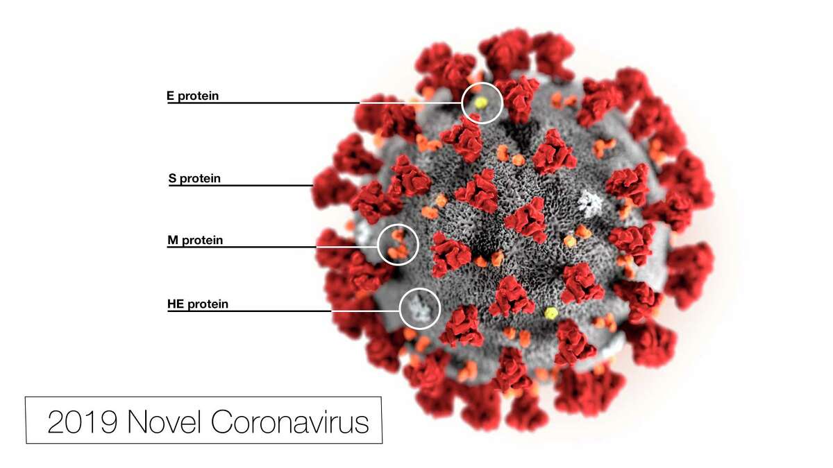 This illustration, created at the Centers for Disease Control and Prevention (CDC), reveals ultrastructural morphology exhibited by the 2019 Novel Coronavirus (2019-nCoV). Note the spikes that adorn the outer surface of the virus, which impart the look of a corona surrounding the virion, when viewed electron microscopically. This virus was identified as the cause of an outbreak of respiratory illness first detected in Wuhan, China. (Courtesy Photo)