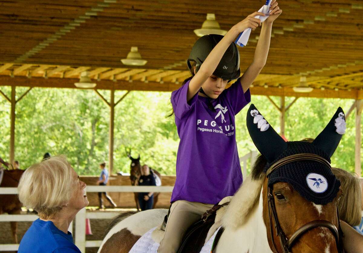 Learn how equine assisted activities positively benefit the cognitive, physical, emotional and social well-being of individuals with special needs when Lynn Peters, Volunteer Director of Pegasus, visits the Fairfield Library on Feb. 20.
