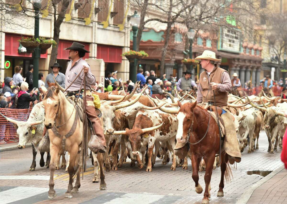 Western Heritage Parade and Cattle Drive brings Old West down San