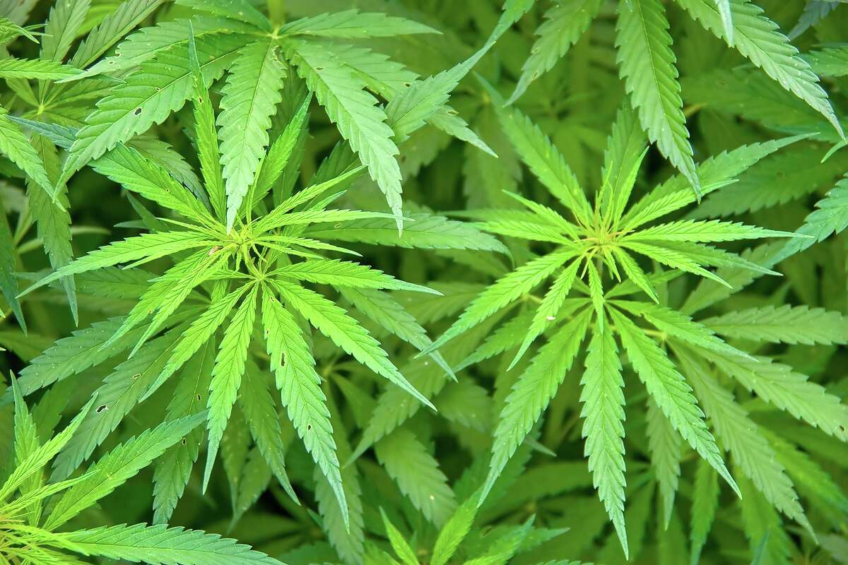 Students may compete for a $5,000 prize by creating a PSA that illustrates the dangers of driving under the influence of marijuana.
