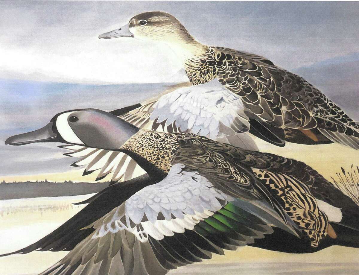 Students invited to enter duck stamp art competition