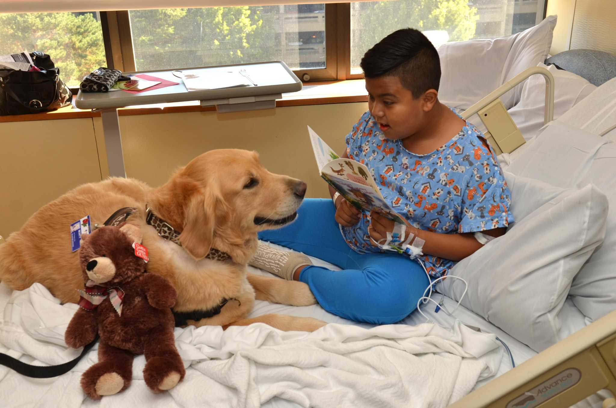 Pet Partners uses household pets as volunteer therapy animals ...