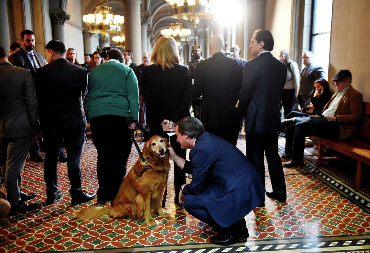 Senate Deputy Leader Michael Gianaris takes a moment to pet Watson, a dog from the from the Mohawk-Hudson Human Society, during a press conference where Sen. Gianaris announced support for his anti-puppy mill legislation on Monday, Feb. 3, 2020, at the Capitol in Albany, N.Y. The bill would ban the sale of cats, dogs and rabbits in pet stores. (Will Waldron/Times Union)