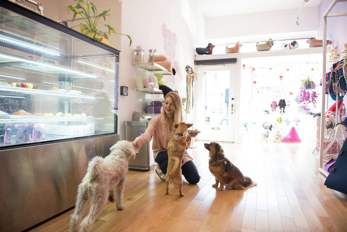 This SF bakery that makes Instagrammable dog cakes seemed ridiculous