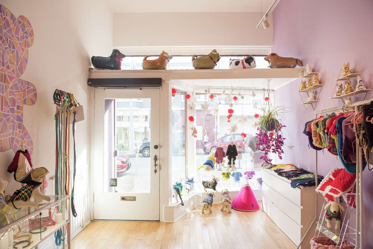 This SF bakery that makes Instagrammable dog cakes seemed ridiculous