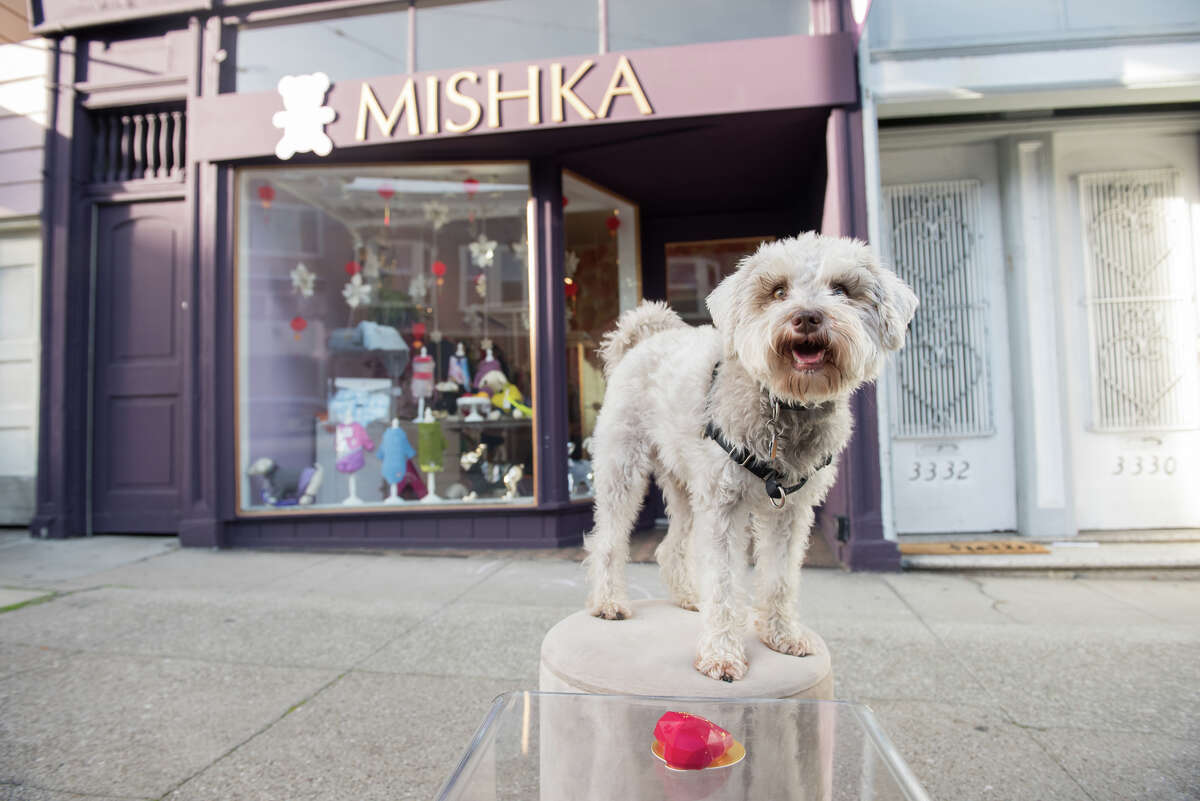 This SF bakery that makes Instagrammable dog cakes seemed ridiculous