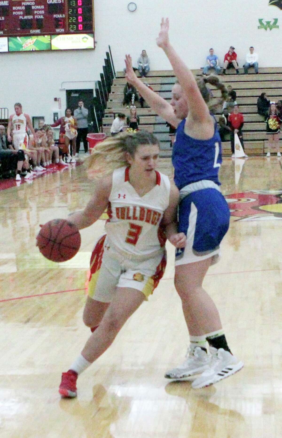 Ferris State senior guard Renee Sturm attempts to dribble past an opponent during action earlier this season. (Pioneer file photo/Joe Judd)