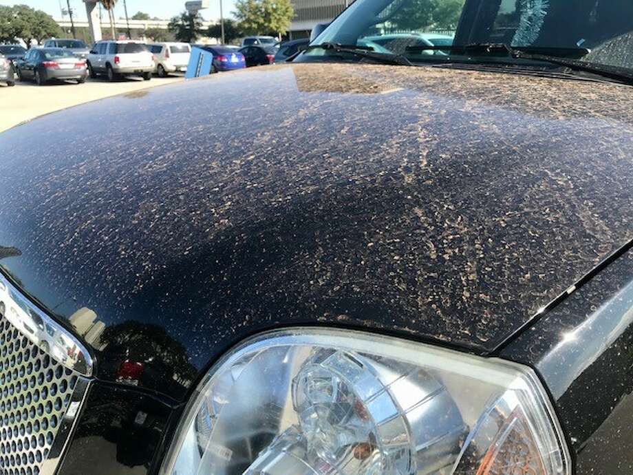Here's why everyone's car in Houston was covered in red dust Thursday morning San Antonio