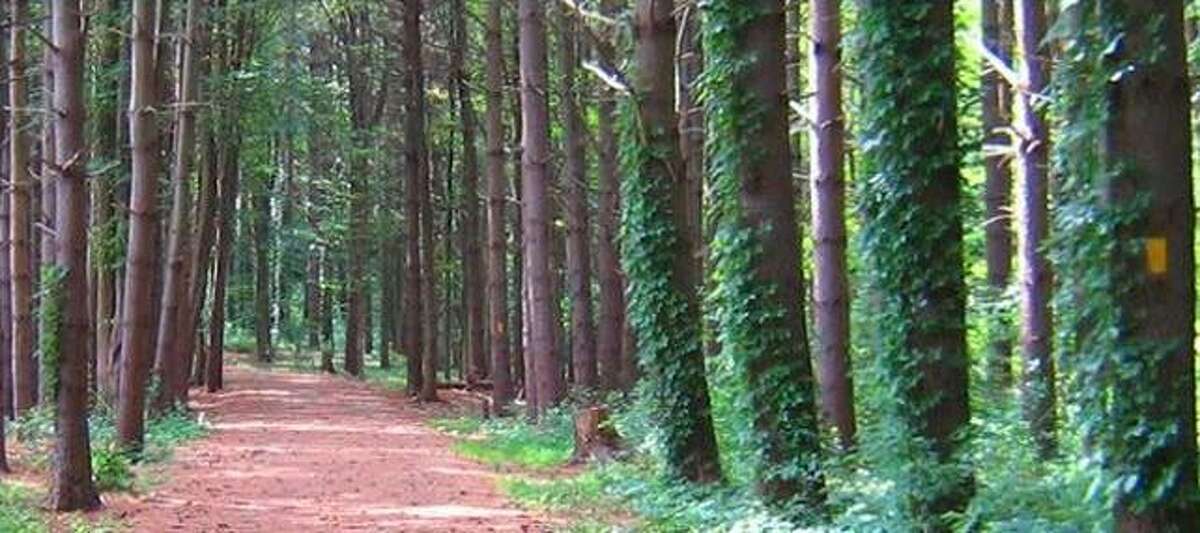 Shelton Trails Committee has planned a work party on the Rec Path on Saturday, June 12.