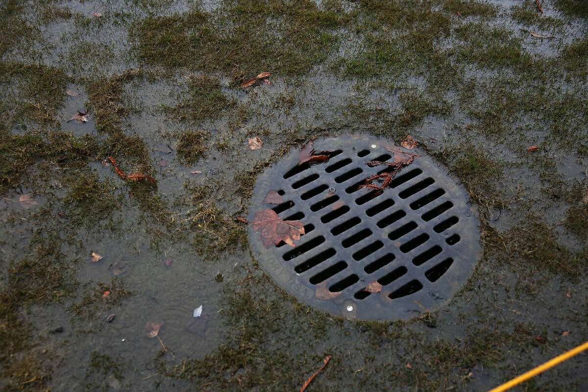 Puddles form and run into a drain in a part of Washington Square Park that is closed off on Thursday, January 16, 2020 in San Francisco, Calif.