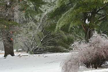 Power Now Returning To Thousands In Region
