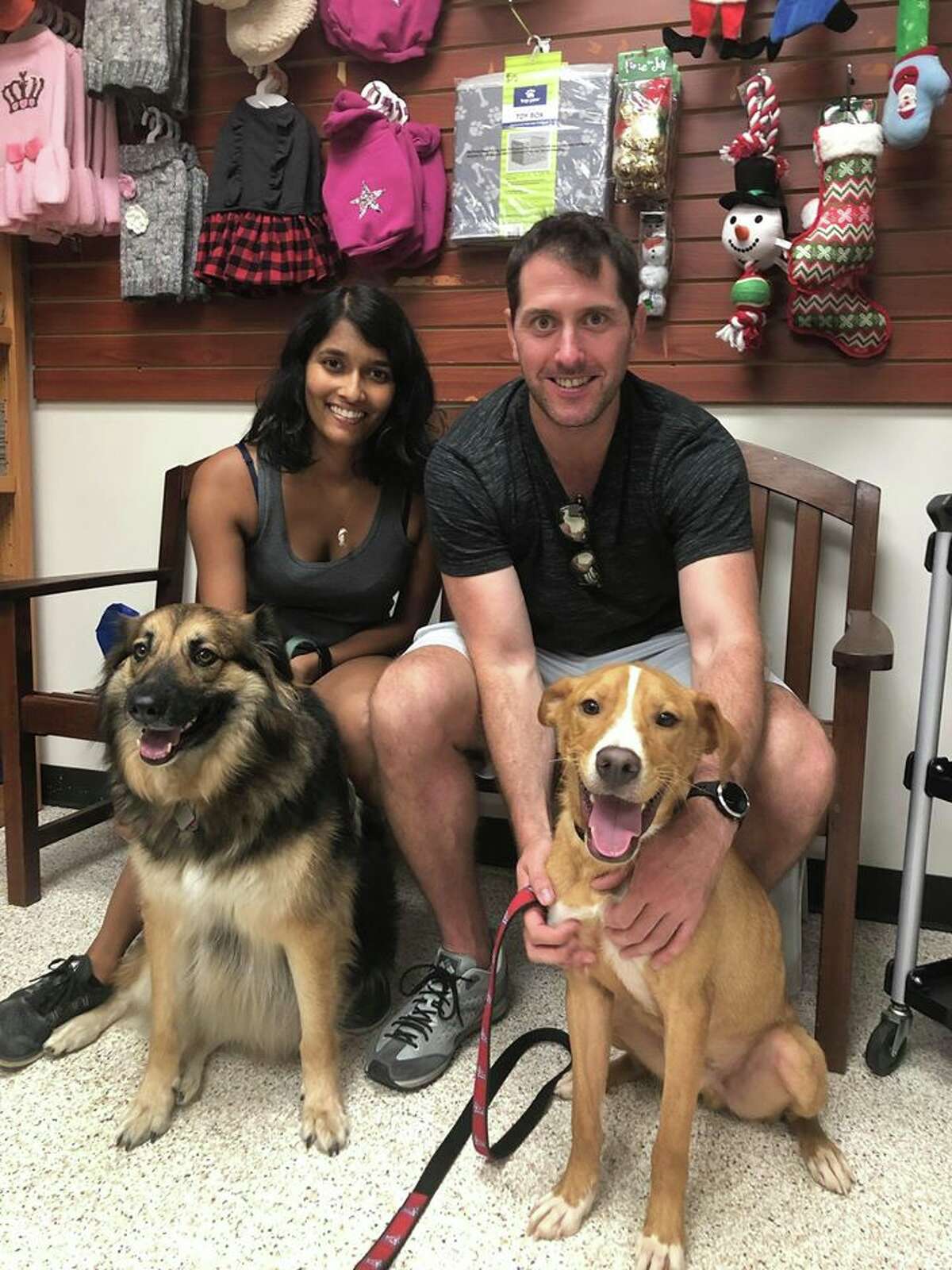 Houston Pets Craigslist - e5bwv7b