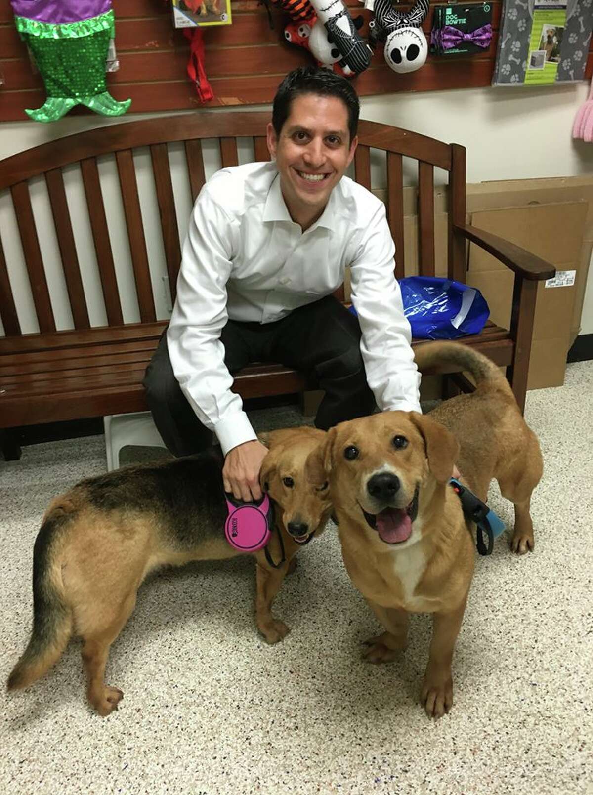 Houston Pets Craigslist - o9wrn3f