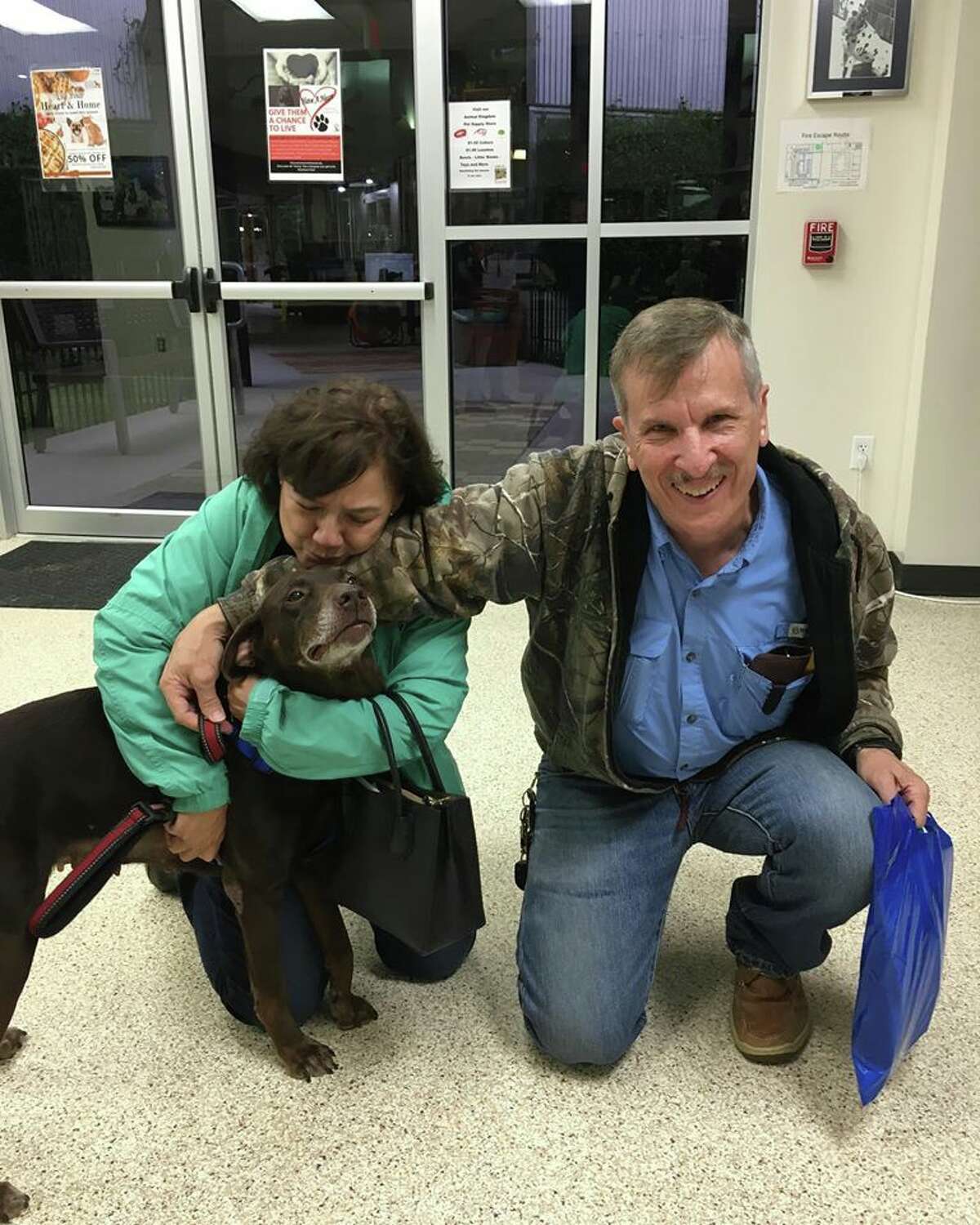 Houston Pets Craigslist - 3nys1vr